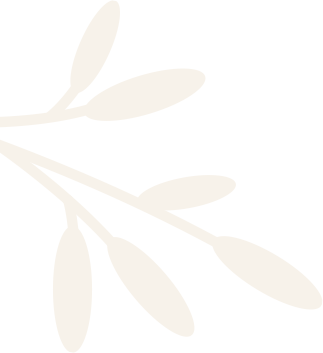 Vision Shape