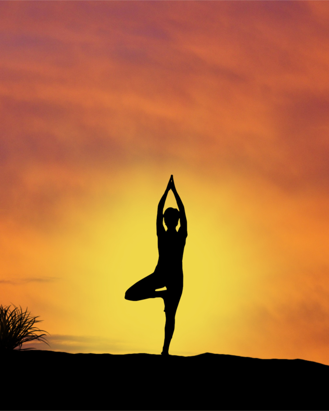 Yog Sadhana