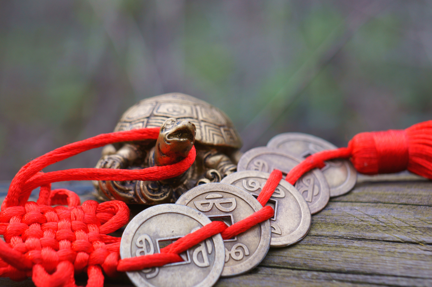 Turtle figurine with feng shui coins. An esoteric symbol.