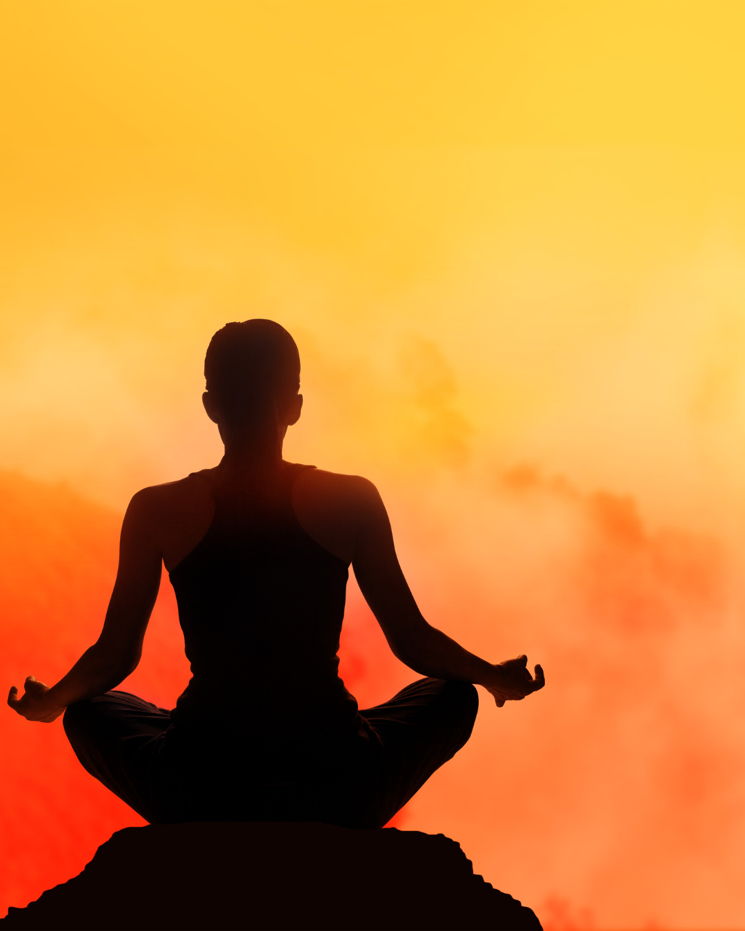 Wellness Series